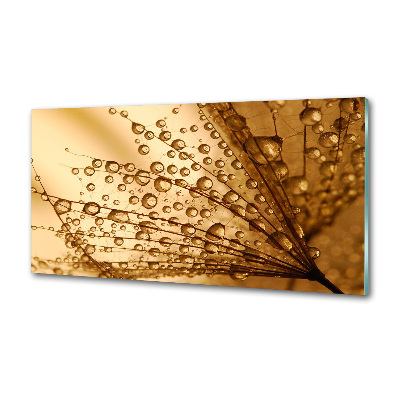 Spatplaat keuken Paardenbloemzaden