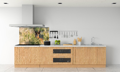 Glazen achterwand keuken Herten in het veld