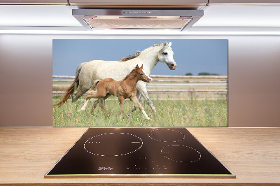 Achterwand keuken Merrie met veulen