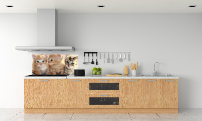Spatscherm keuken Kleine katjes