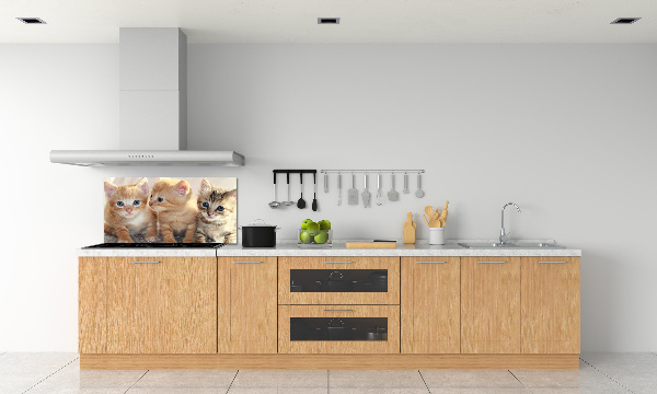 Spatscherm keuken Kleine katjes