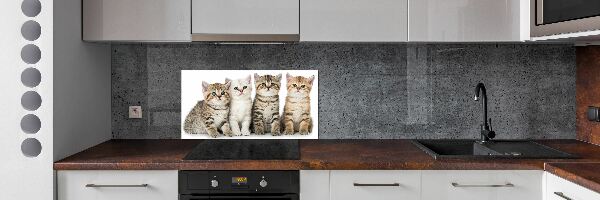 Spatplaat keuken Kleine katjes