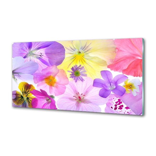 Glazen achterwand keuken Viooltjes