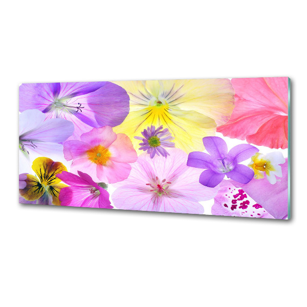 Glazen achterwand keuken Viooltjes