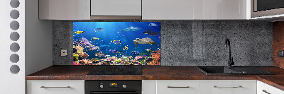 Keuken achterwand Koraalrif