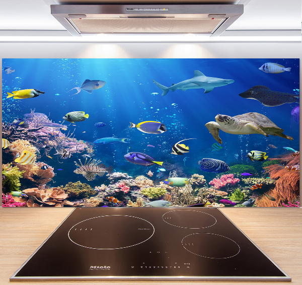 Keuken achterwand Koraalrif