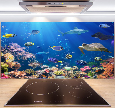 Panel do kuchni Rafa koralowa