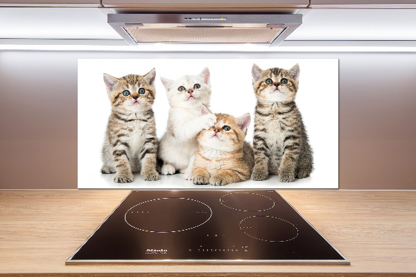 Glazen achterwand keuken Kleine katjes