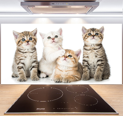 Glazen achterwand keuken Kleine katjes