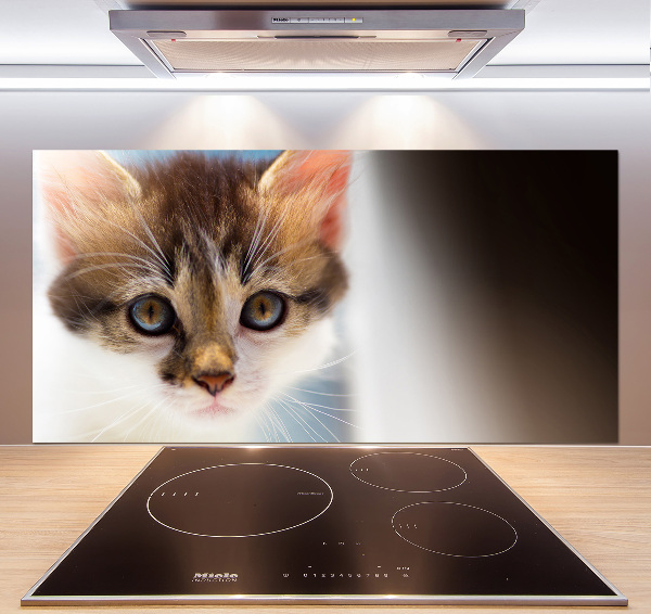 Achterwand keuken Kleine kat