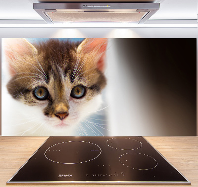 Achterwand keuken Kleine kat