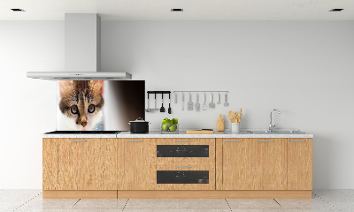 Achterwand keuken Kleine kat