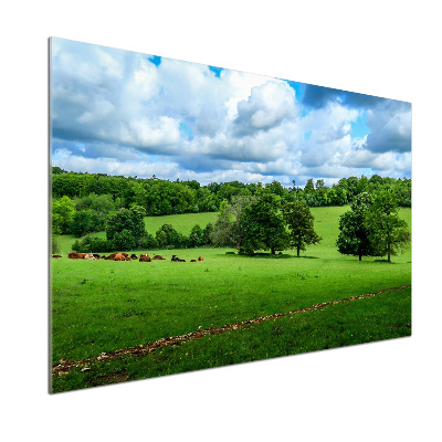 Achterwand keuken Groene heuvels