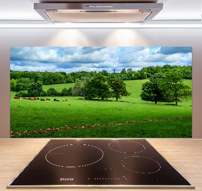 Achterwand keuken Groene heuvels