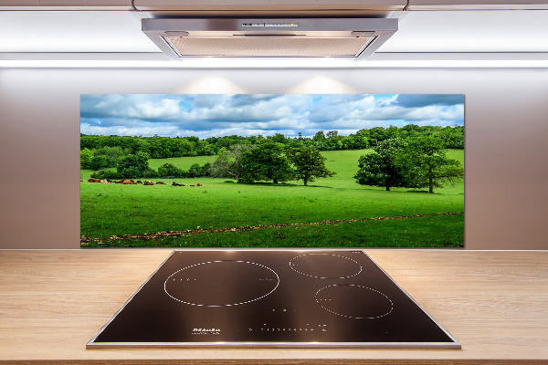 Achterwand keuken Groene heuvels