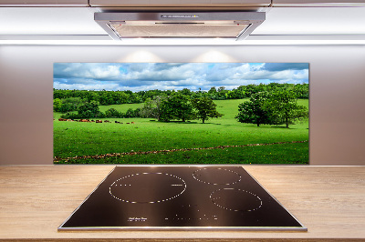 Achterwand keuken Groene heuvels