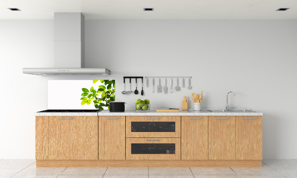 Spatplaat keuken Bladeren