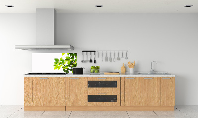 Spatplaat keuken Bladeren