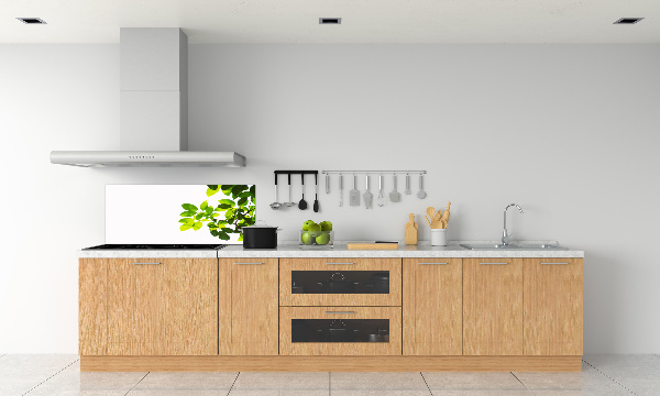 Spatplaat keuken Bladeren