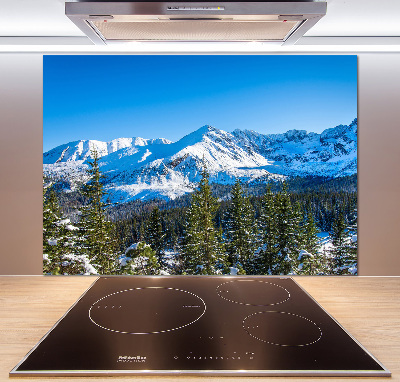 Panel do kuchni Panorama Tatr