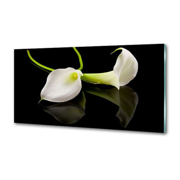 Panel szklany do kuchni Kalia