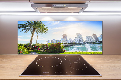 Achterwand keuken Miami, VS