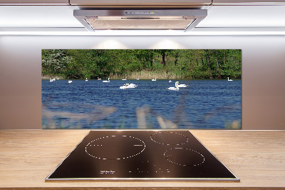 Spatplaat keuken Witte zwanen