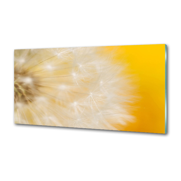 Spatscherm keuken Paardebloem