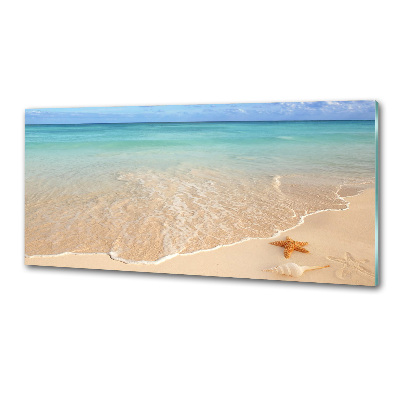 Panel lacobel Rozgwiazda na plaży