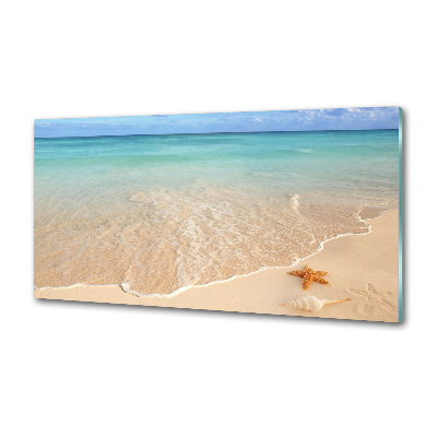 Spatplaat keuken Zeesterren op het strand