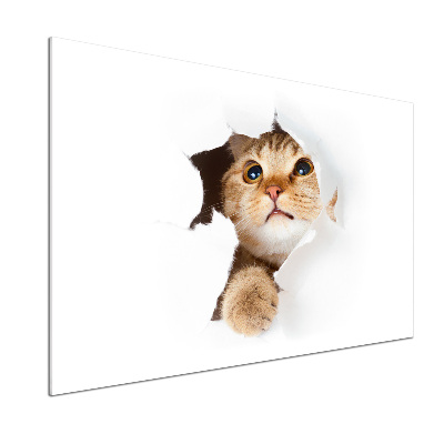 Panel do kuchni Kot w dziurze