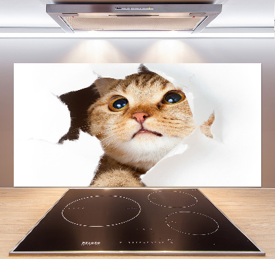 Panel do kuchni Kot w dziurze