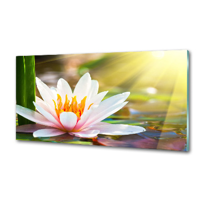 Panel dekor szkło Lilia wodna