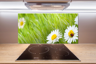 Keuken achterwand Madeliefjes