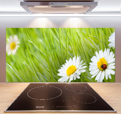 Panel między meble w kuchni Stokrotki