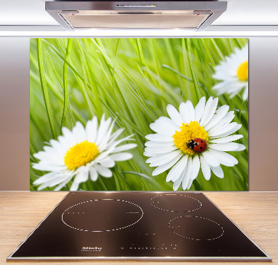 Panel między meble w kuchni Stokrotki