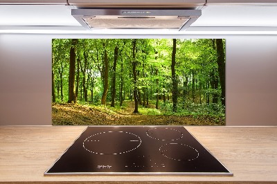 Keuken achterwand Bospad