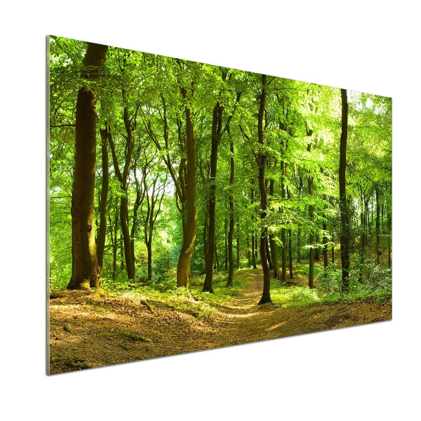 Panel do kuchni Leśna ścieżka