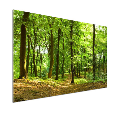 Panel do kuchni Leśna ścieżka