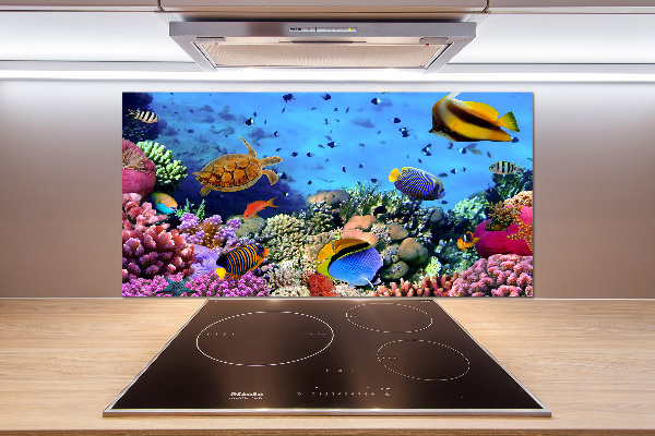 Panel do kuchni Rafa koralowa