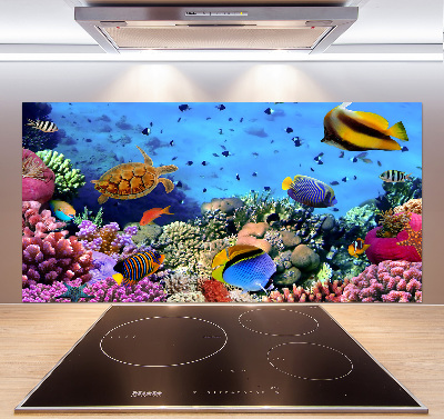 Glazen achterwand keuken Koraalrif