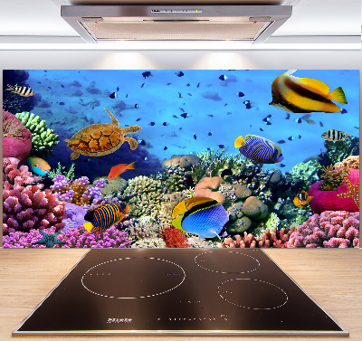 Glazen achterwand keuken Koraalrif