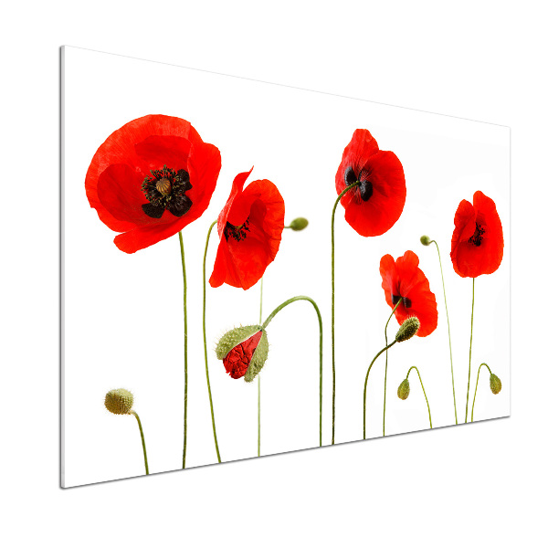 Panel szklany do kuchni Maki