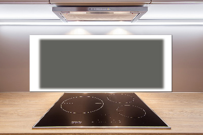 Glazen achterwand keuken Klaprozen