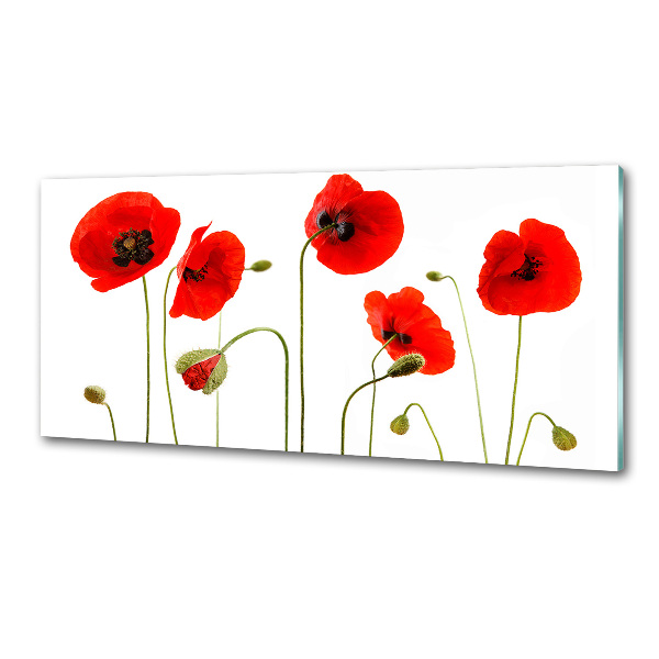 Panel szklany do kuchni Maki