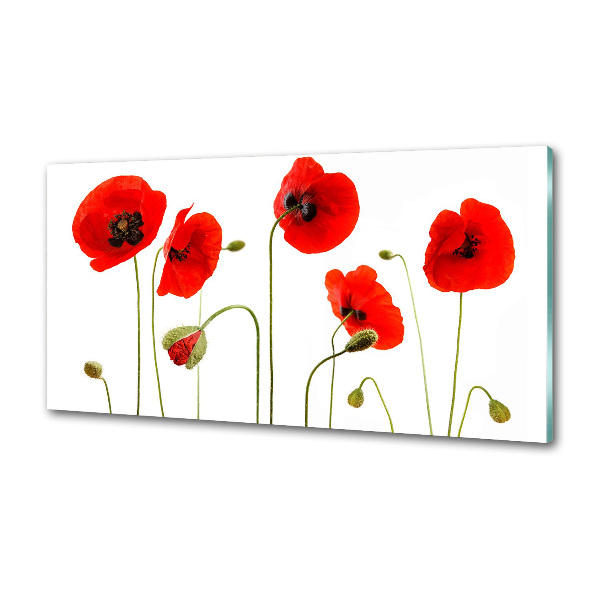 Panel szklany do kuchni Maki