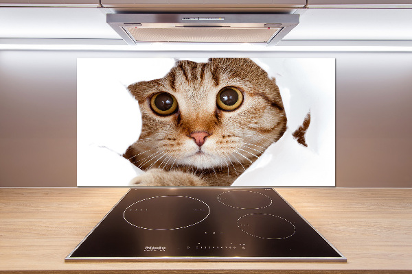 Achterwand keuken Kat