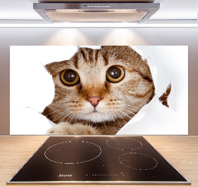 Achterwand keuken Kat