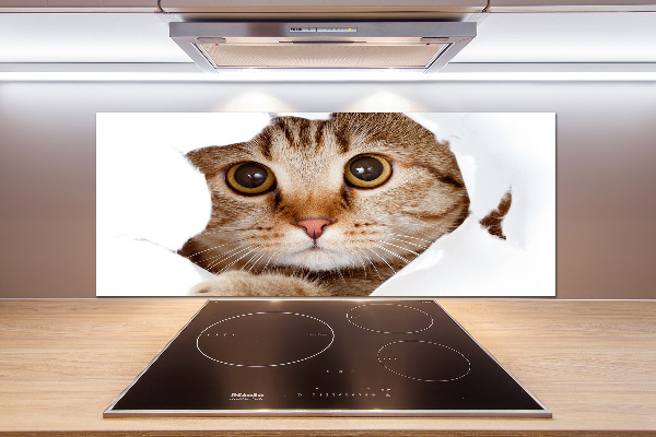 Achterwand keuken Kat