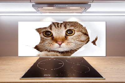 Achterwand keuken Kat